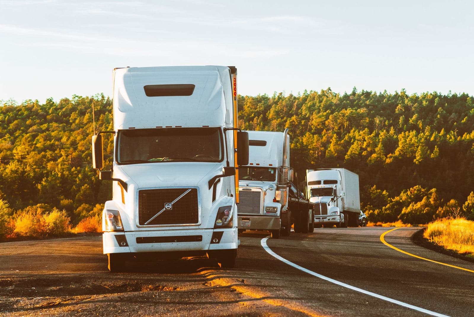 Convoy of white semi tractors on a curving highway